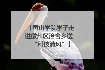 黄山学院学子走进徽州区洽舍乡送“科技清风”