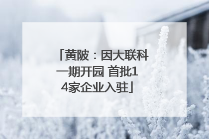 黄陂：因大联科一期开园 首批14家企业入驻