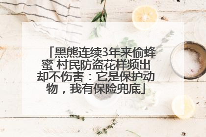 黑熊连续3年来偷蜂蜜 村民防盗花样频出却不伤害：它是保护动物，我有保险兜底
