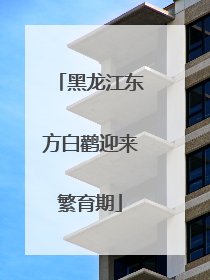 黑龙江东方白鹳迎来繁育期