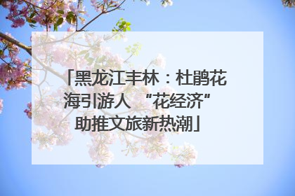 黑龙江丰林：杜鹃花海引游人 “花经济”助推文旅新热潮