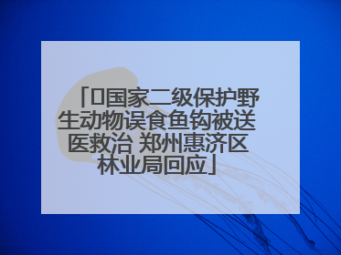 ﻿国家二级保护野生动物误食鱼钩被送医救治 郑州惠济区林业局回应