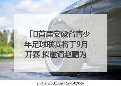 ﻿首届安徽省青少年足球联赛将于9月开赛 拟邀请赵鹏为先导赛开球