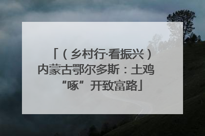 （乡村行·看振兴）内蒙古鄂尔多斯：土鸡“啄”开致富路