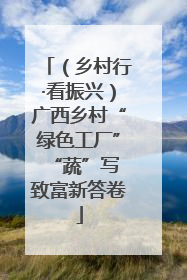（乡村行·看振兴）广西乡村“绿色工厂” “蔬”写致富新答卷