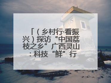 （乡村行·看振兴）探访“中国荔枝之乡”广西灵山：科技“鲜”行 实“荔”C位