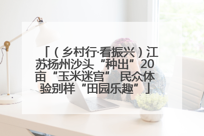 （乡村行·看振兴）江苏扬州沙头“种出”20亩“玉米迷宫” 民众体验别样“田园乐趣”