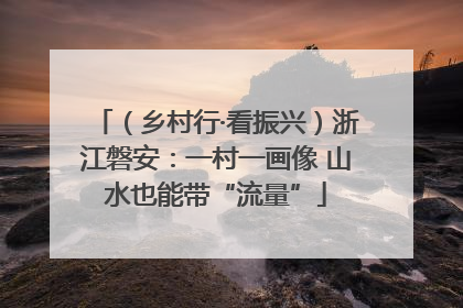 （乡村行·看振兴）浙江磐安：一村一画像 山水也能带“流量”