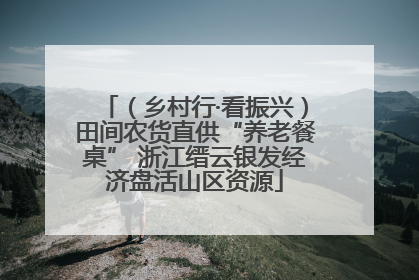 （乡村行·看振兴）田间农货直供“养老餐桌” 浙江缙云银发经济盘活山区资源