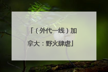 （外代一线）加拿大：野火肆虐