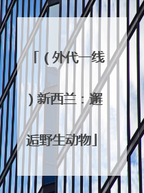 （外代一线）新西兰：邂逅野生动物