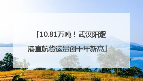10.81万吨！武汉阳逻港直航货运量创十年新高