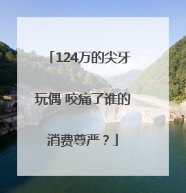 124万的尖牙玩偶 咬痛了谁的消费尊严？