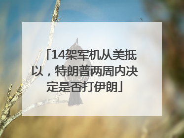 14架军机从美抵以，特朗普两周内决定是否打伊朗