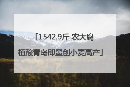 1542.9斤 农大腐植酸青岛即墨创小麦高产