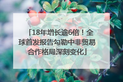 18年增长逾6倍！全球首发报告勾勒中非贸易合作格局深刻变化