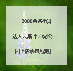 2000余名街舞达人云集 平原湖公园上演动感热潮