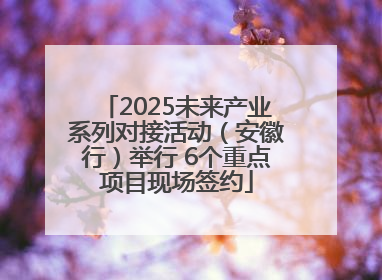 2025未来产业系列对接活动（安徽行）举行 6个重点项目现场签约