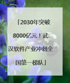 2030年突破8000亿元！武汉软件产业冲刺全国第一梯队