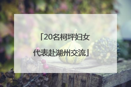 20名柯坪妇女代表赴湖州交流