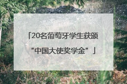 20名葡萄牙学生获颁“中国大使奖学金”