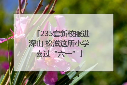 235套新校服进深山 松滋这所小学喜过“六一”