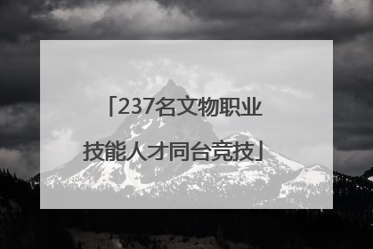 237名文物职业技能人才同台竞技
