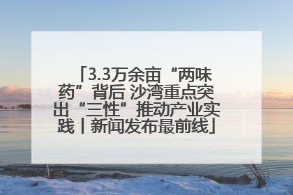 3.3万余亩“两味药”背后 沙湾重点突出“三性”推动产业实践丨新闻发布最前线