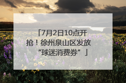 7月2日10点开抢！徐州泉山区发放“球迷消费券”