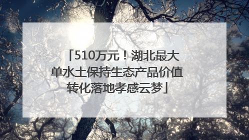 510万元！湖北最大单水土保持生态产品价值转化落地孝感云梦