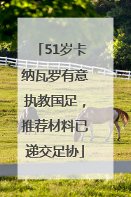 51岁卡纳瓦罗有意执教国足，推荐材料已递交足协