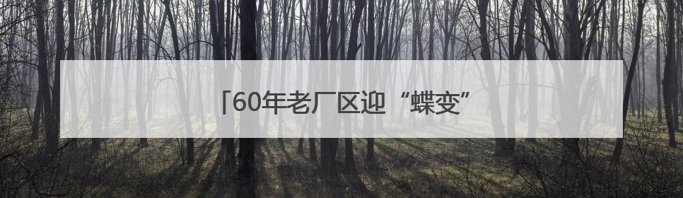 60年老厂区迎“蝶变”！海淀新添一处科创地标