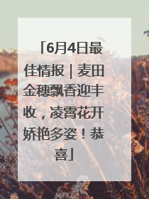 6月4日最佳情报｜麦田金穗飘香迎丰收，凌霄花开娇艳多姿！恭喜