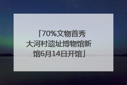 70%文物首秀 大河村遗址博物馆新馆6月14日开馆
