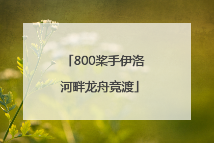 800桨手伊洛河畔龙舟竞渡