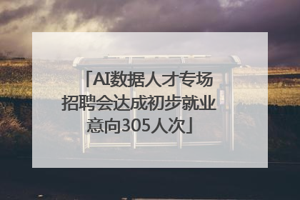 AI数据人才专场招聘会达成初步就业意向305人次