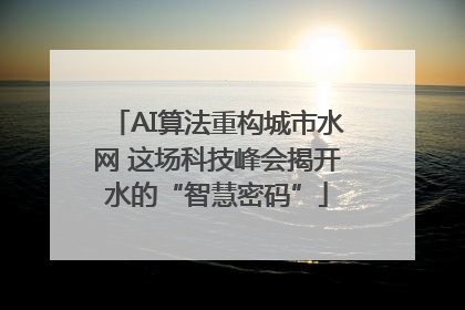 AI算法重构城市水网 这场科技峰会揭开水的“智慧密码”