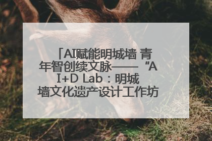 AI赋能明城墙 青年智创续文脉——“AI+D Lab：明城墙文化遗产设计工作坊”在南京开营