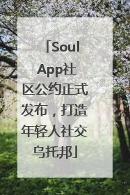 Soul App社区公约正式发布，打造年轻人社交乌托邦