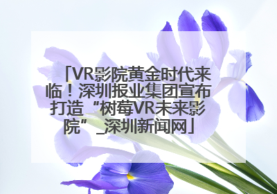 VR影院黄金时代来临！深圳报业集团宣布打造“树莓VR未来影院”_深圳新闻网